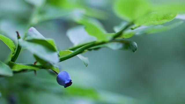 饱览生命中的无数美景!