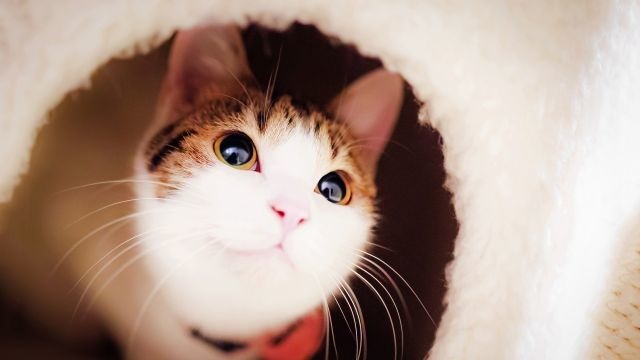 进步生家长发言稿分享